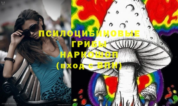 прущие крисы Алзамай