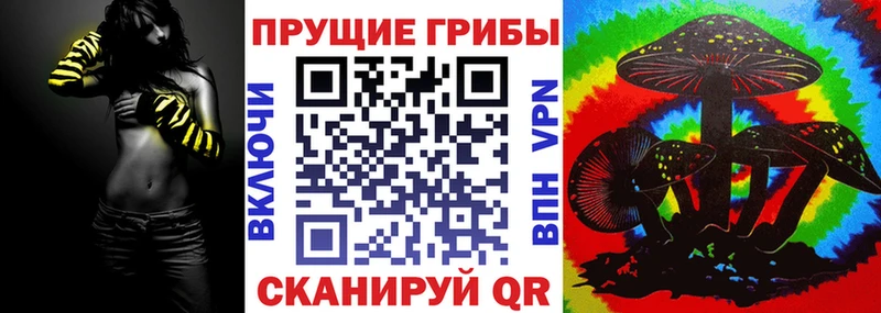 Галлюциногенные грибы Cubensis  Осинники 